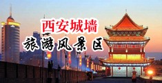 www黄插中国陕西-西安城墙旅游风景区
